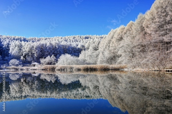 Obraz 中牧湖の水鏡と霧氷