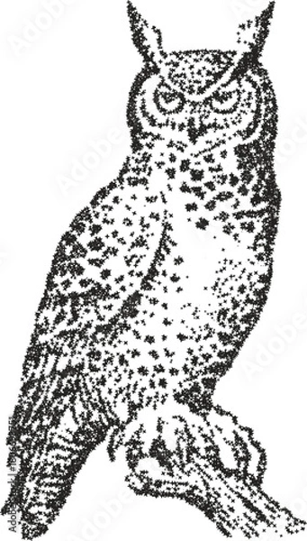 Obraz Detailed owl illustration created with a black and white stipple vector technique. Elegant and artistic representation of a wild bird, perfect for nature and wisdom themes.
