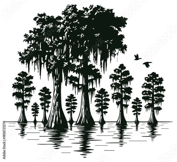 Fototapeta Detailed Cypress Tree in Swamp Black and White Vector Illustration