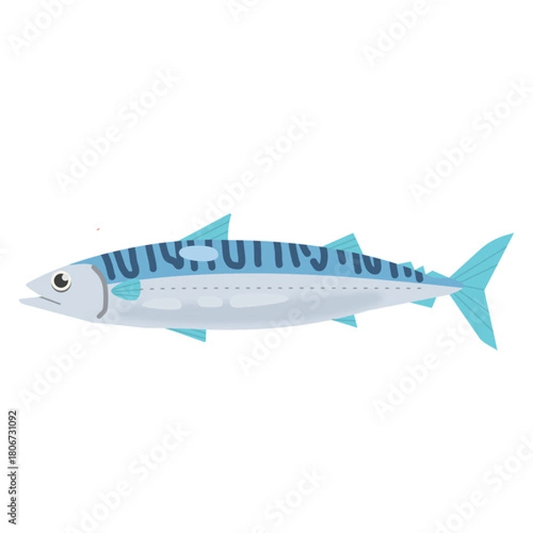 Obraz Vector illustration of a mackerel fish