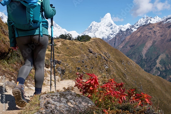 Fototapeta Backpacker on trail with Ama Dablam mountain in background.. Shot from behind, focusing on journey and majestic Himalayan landscape on sunny day.