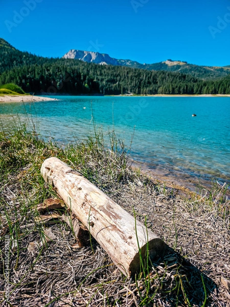 Fototapeta Weathered log lying on the dry lakeshore of Black Lake in Durmitor, Montenegro. Clear turquoise water, forested hills and rocky mountain peaks create a peaceful natural landscape.