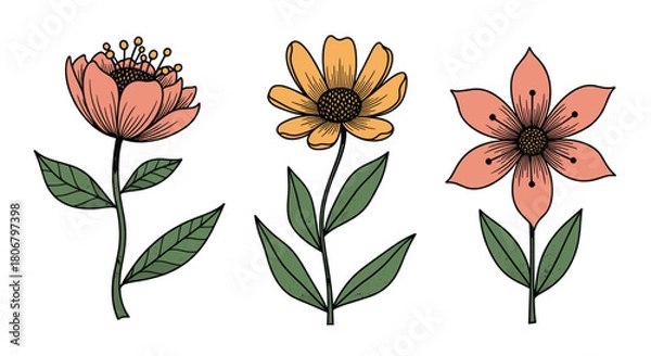 Fototapeta A trio of stylized hand-drawn flowers in a vintage botanical illustration style.