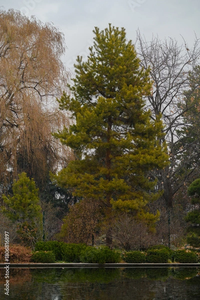 Obraz autumn in the park