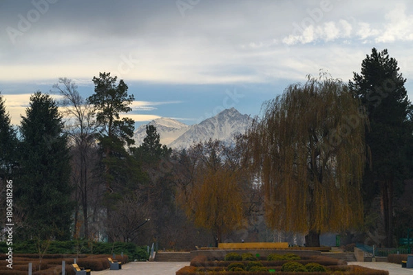 Obraz autumn landscape with trees