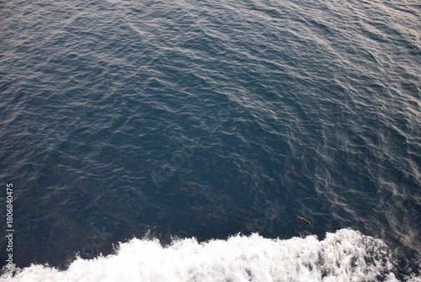 Obraz The beach foam in the sea is pure like silk