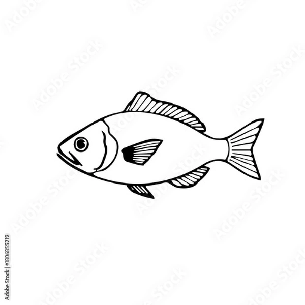 Obraz Food & Kitchen – Thick Outline BW – fish simple sharp