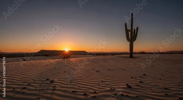 Obraz Desert landscape with saguaro cactus at sunset and sand dune patterns