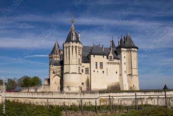 Obraz Château de Saumur