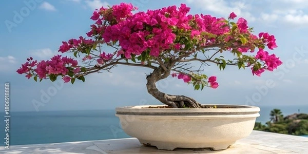 Obraz Stunning pink bougainvillea bonsai tree with calming blue ocean backdrop evokes peaceful beauty and mindful tranquility, perfect for meditation spaces