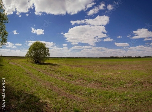 Fototapeta landscape