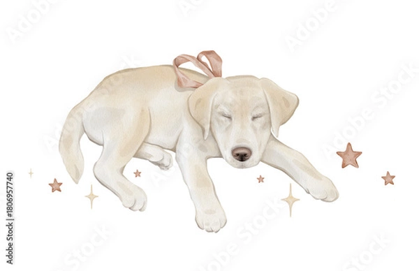 Fototapeta Composition with stars and character beige yellow puppy dog isolated on background. Hand drawn illustration sketch Labrador sleeping and a red bow around his neck.