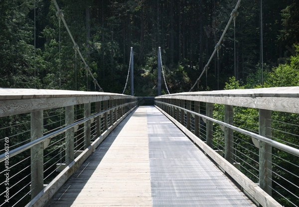 Fototapeta Suspension bridge in forest. Summer hiking trail for pedestrian and mountain biking. Seymour River suspension bridge, Twin Bridge Trail in North Vancouver, BC, Canada. Selective focus.