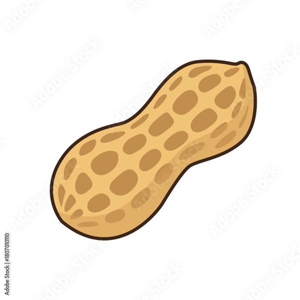 Obraz peanut icon flat vector design