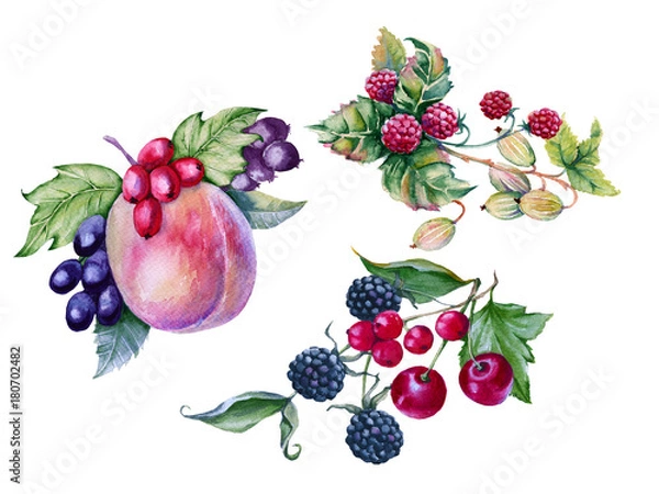 Fototapeta Peach with berries in a bouquet. isolated on white background. 