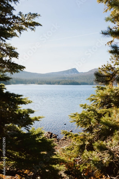 Obraz Lake landscape 