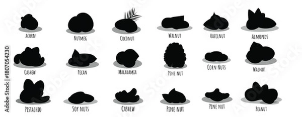Obraz  nut icon set cartoon style