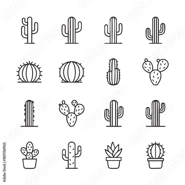 Obraz ICONES NORDESTINOS, NORDESTINO, NORDESTE, CEARÁ, ICONES DO NORDESTE, MANDACARU, CACTO, CACTOS, PLANTAS DA CAATINGA, PLANTAS NORDESTINAS