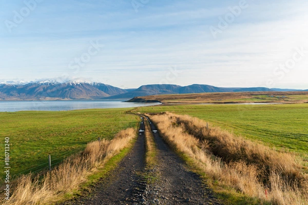 Obraz Chemin d'Islande
