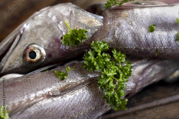Obraz Fresh European hake fish on wooden board with parsley, Raw uncooked Merluccius merluccius close-up