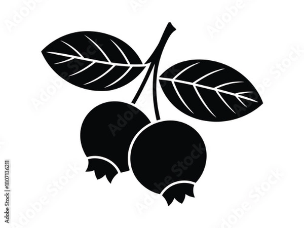 Fototapeta 0011_1_silhouette-of-blueberry-black-vector-on-_dvtJY_YhQciVSa4xBvpWOA_rdDJ-pRyQWGgPecjbZP3Ig.eps
