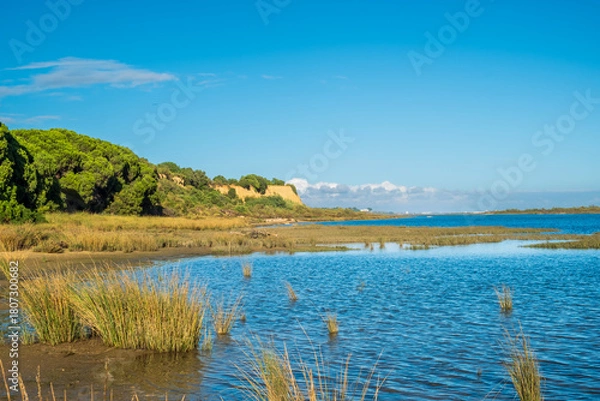 Obraz Cabanas Portugal landscape