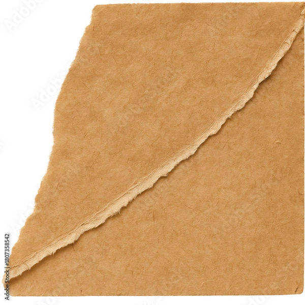 Obraz Dark brown textured torn paper with curled edge