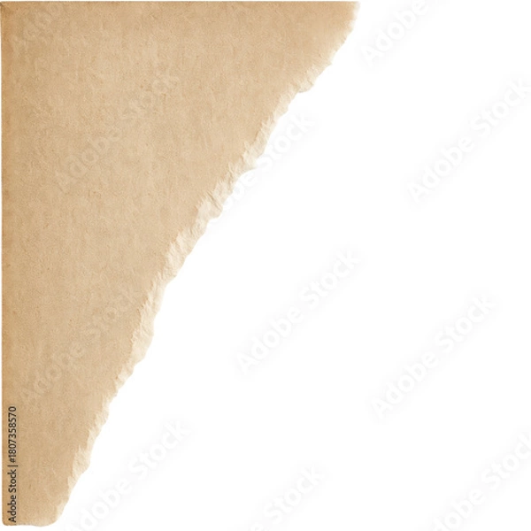 Fototapeta Old parchment style paper with jagged edge