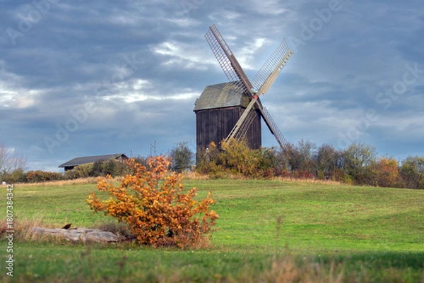 Obraz wooden windmill