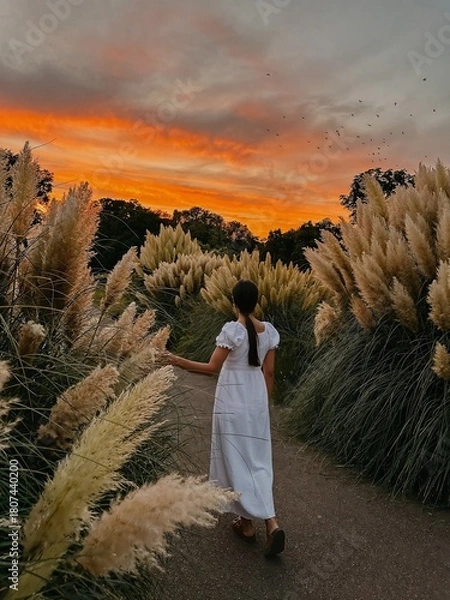 Obraz romantic couple at sunset