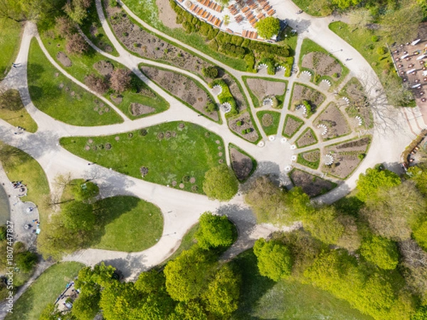 Fototapeta Aerial view from the drone of trees, foot paths, roses garden and  in a green park