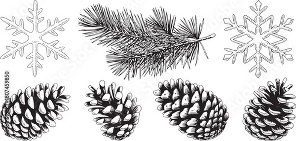 Fototapeta Winter seamless pattern with pine cones snowflake and pine branch illustration