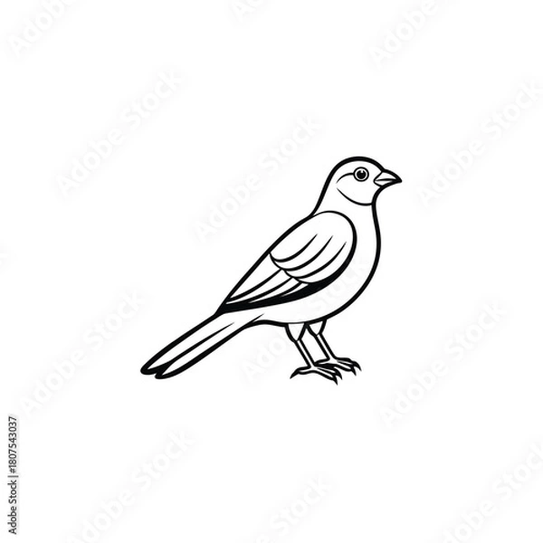 Obraz Minimal bird outline vector, illustration in clean line art style