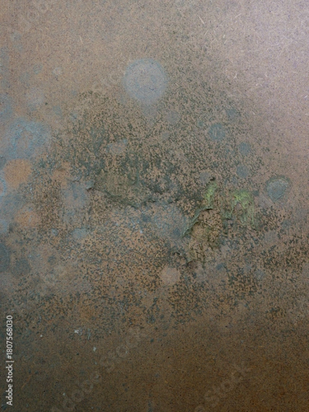 Fototapeta Close-up of mold on fiberboard - texture