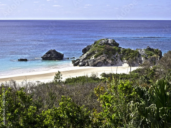 Obraz OLYMPUS DIGITAL CAMERA