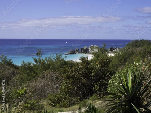 Obraz OLYMPUS DIGITAL CAMERA