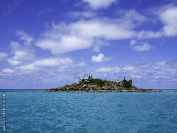 Obraz OLYMPUS DIGITAL CAMERA