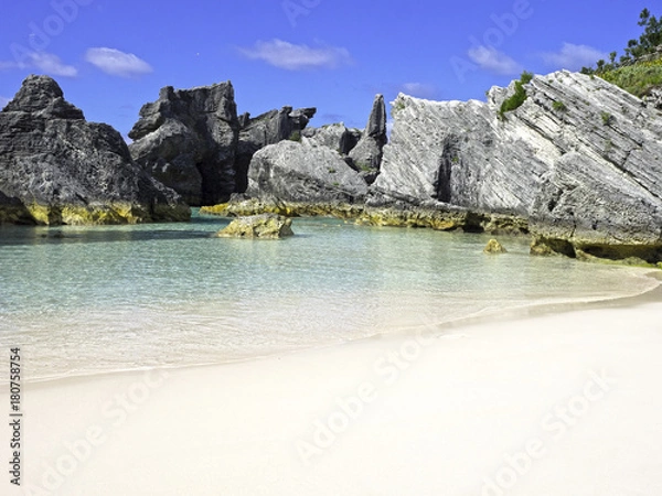 Obraz OLYMPUS DIGITAL CAMERA