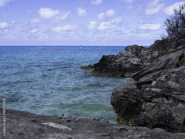 Obraz OLYMPUS DIGITAL CAMERA