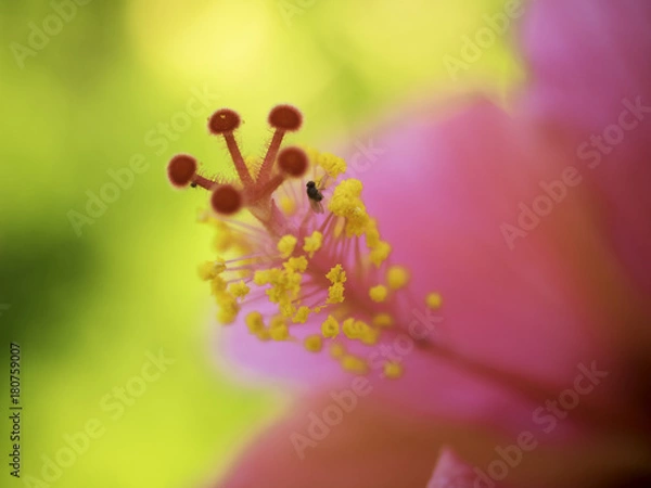 Obraz OLYMPUS DIGITAL CAMERA