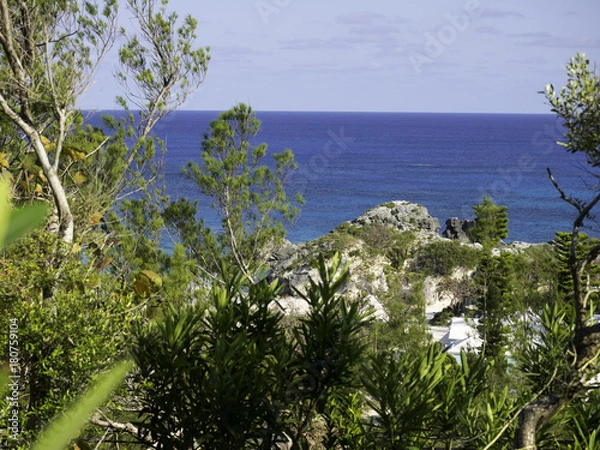 Obraz OLYMPUS DIGITAL CAMERA