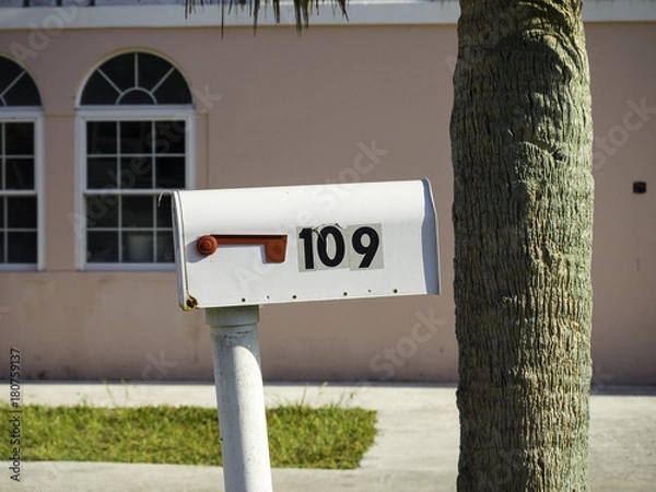 Obraz OLYMPUS DIGITAL CAMERA