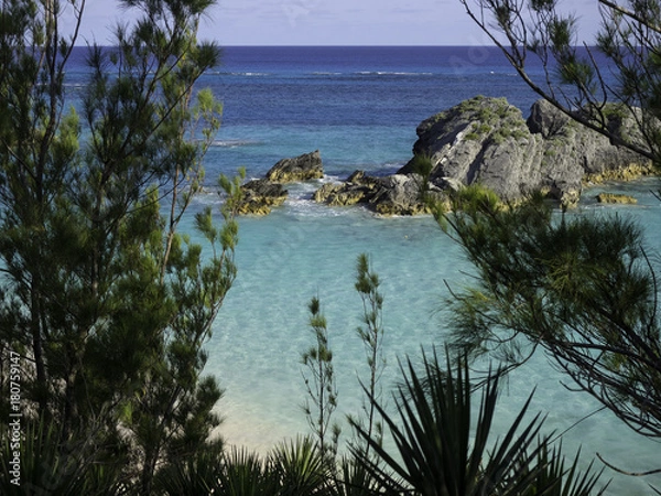 Obraz OLYMPUS DIGITAL CAMERA