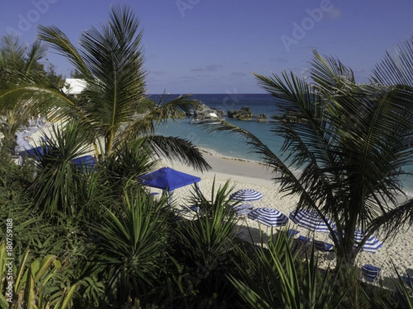 Obraz OLYMPUS DIGITAL CAMERA