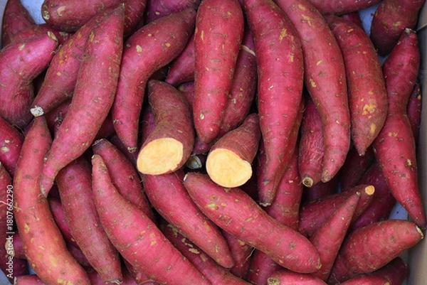 Obraz 호박 맛의 신선한 고구마