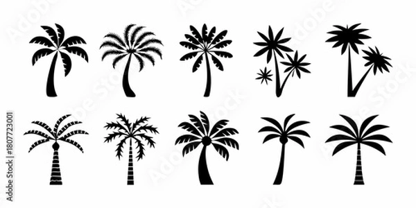 Obraz Collection of palm tree silhouettes in black and white for summer designs