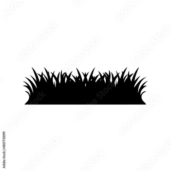 Fototapeta Grass silhouette isolated vector illustration on white background. Vector, illustration