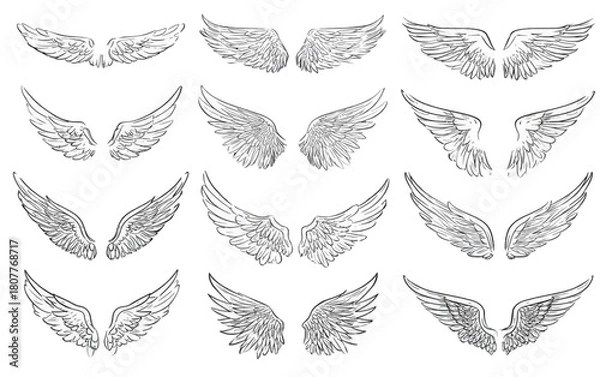 Fototapeta Set of twelve hand drawn angel wings illustrations.