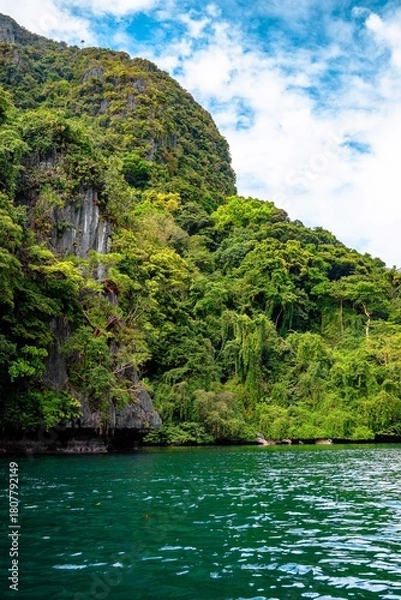 Obraz rainforest in the mountains