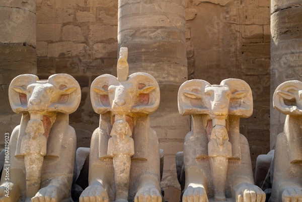 Fototapeta Egypt, Luxor, 02.01.2022  Karnak temple, alley of the ram-headed sphinxes.